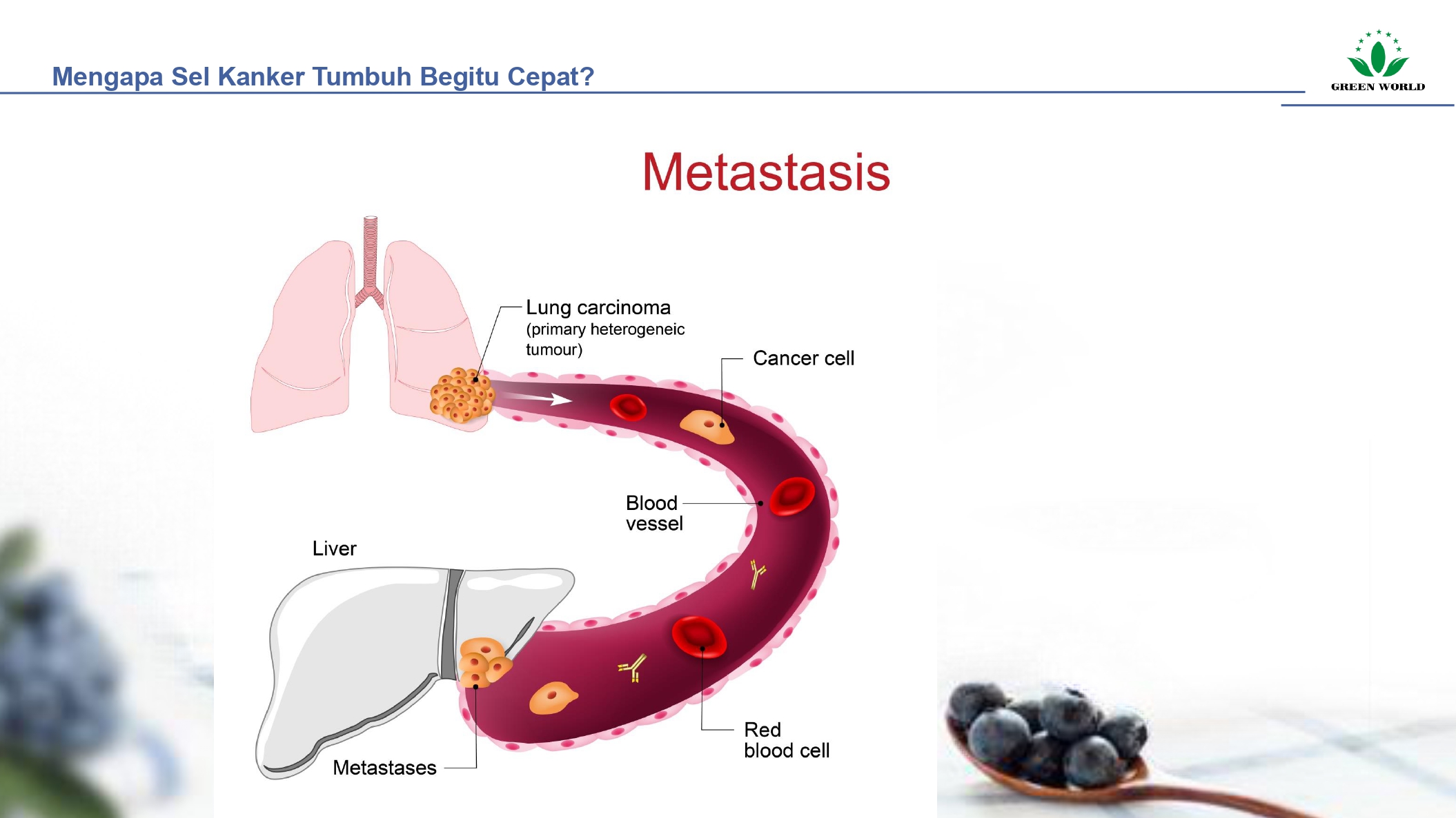 Education content image